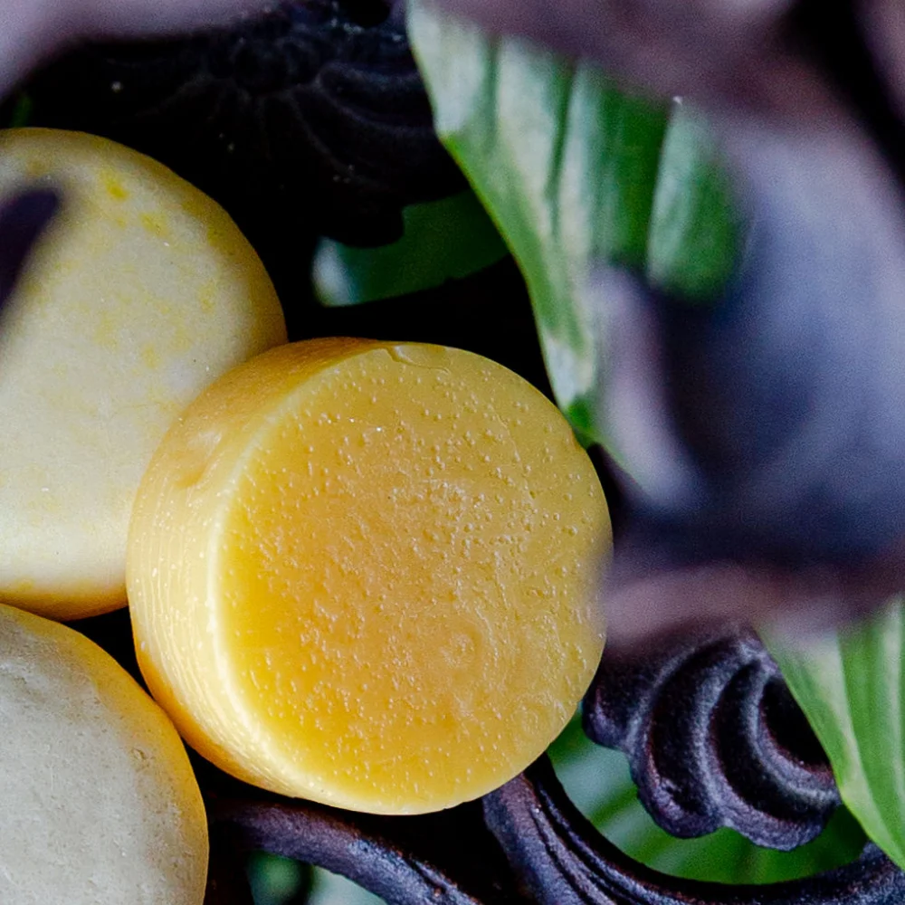 Bee-By-The-Sea-Classic-Conditioner-Bar-Dew-Melon-Gallery