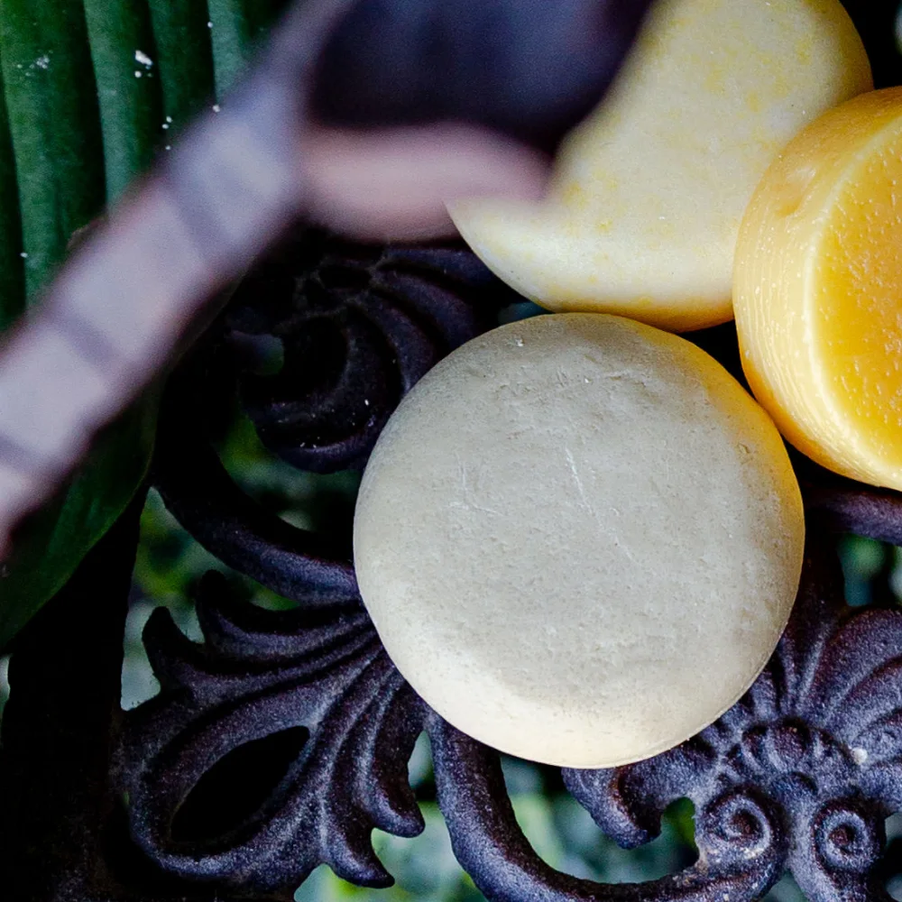 Bee-By-The-Sea-Classic-Shampoo-Bar-Dew-Melon-Gallery